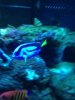 dori 1.JPG dori 1.JPG