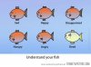 funny-fish-clipart-expressions.jpg