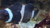 20160627_194614.jpg 20160627_194614.jpg