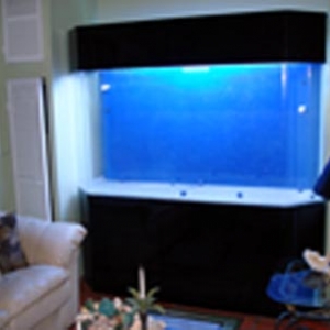350 gallon tenecor all acrylic reef aquarium (New Setup)