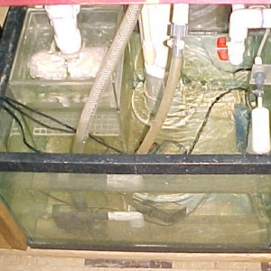 Sump front view