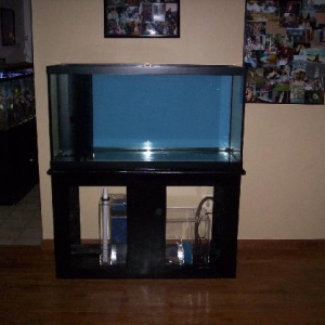 tank stand and filter